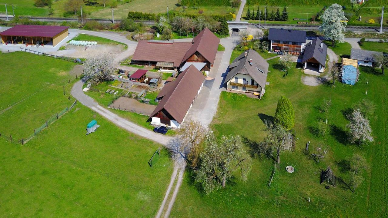 Apartament Ferienhof Ressmann-Tratnik Ledenitzen Zewnętrze zdjęcie